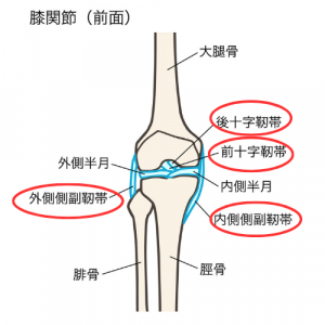 ひざ・足の症状（痛み・しびれ・違和感） | いなだ整形 痛みのクリニック